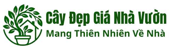 Cây Đẹp Giá Nhà Vườn